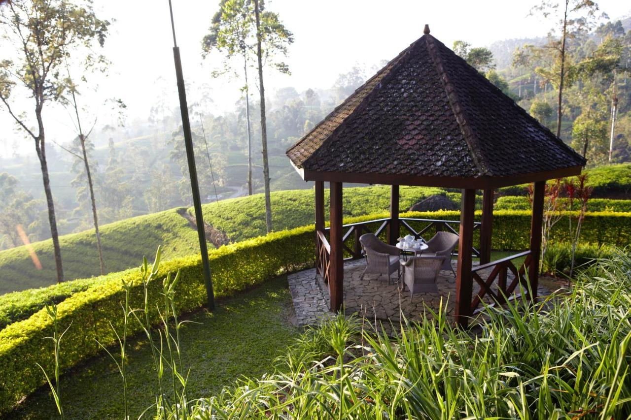 האטון Ceylon Tea Trails - Relais And Chateaux מראה חיצוני תמונה