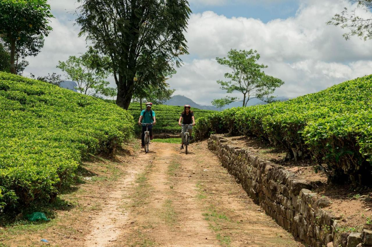 האטון Ceylon Tea Trails - Relais And Chateaux מראה חיצוני תמונה